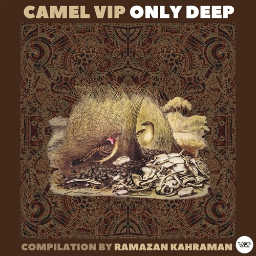 VA - Camel VIP Only Deep (Compilation by Ramazan Kahraman) [CVIP122]